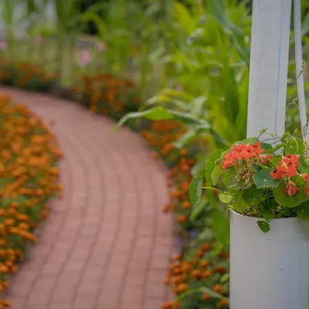 Inselblume 66 - Kuschlige Fuer 2 In