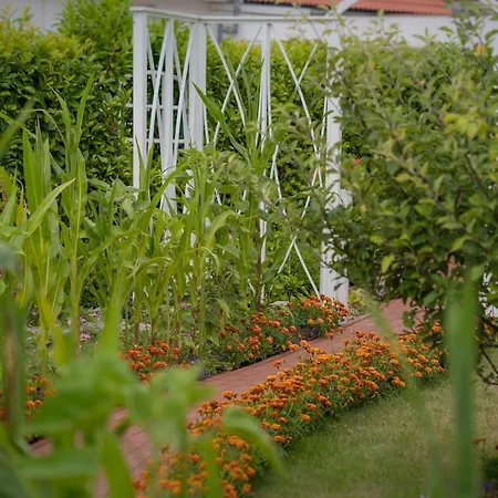 Inselblume 66 - Kuschlige Für 2 In Ferienhaus